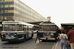 215_3