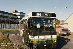 295_1.